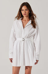 Winica Poplin Mini Dress