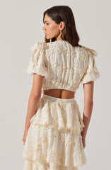 Arianell Embroidered Floral Tiered Dress