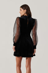 Velvet Sheer Puff Sleeve Dress