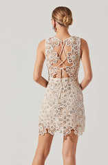 Priscila Crochet Floral Mini Dress