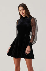 Velvet Sheer Puff Sleeve Dress